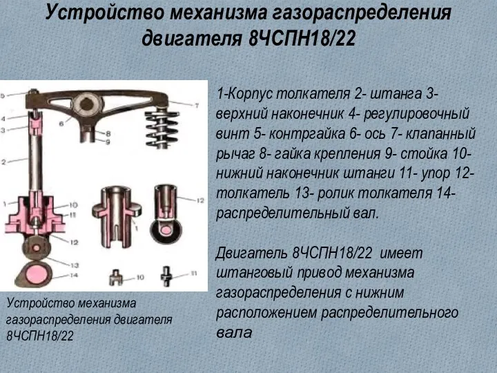 Устройство механизма газораспределения двигателя 8ЧСПН18/22 Устройство механизма газораспределения двигателя 8ЧСПН18/22 1-Корпус