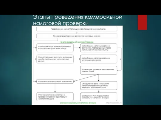 Этапы проведения камеральной налоговой проверки