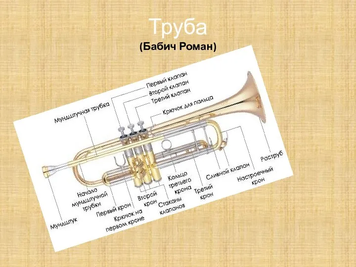 Труба (Бабич Роман)