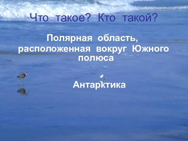 Что такое? Кто такой? Полярная область, расположенная вокруг Южного полюса Антарктика