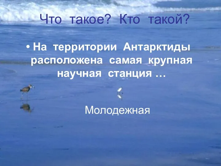 На территории Антарктиды расположена самая крупная научная станция … Молодежная Что такое? Кто такой?