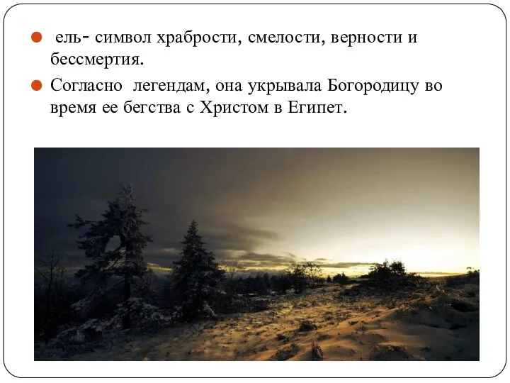 ель- символ храбрости, смелости, верности и бессмертия. Согласно легендам, она укрывала