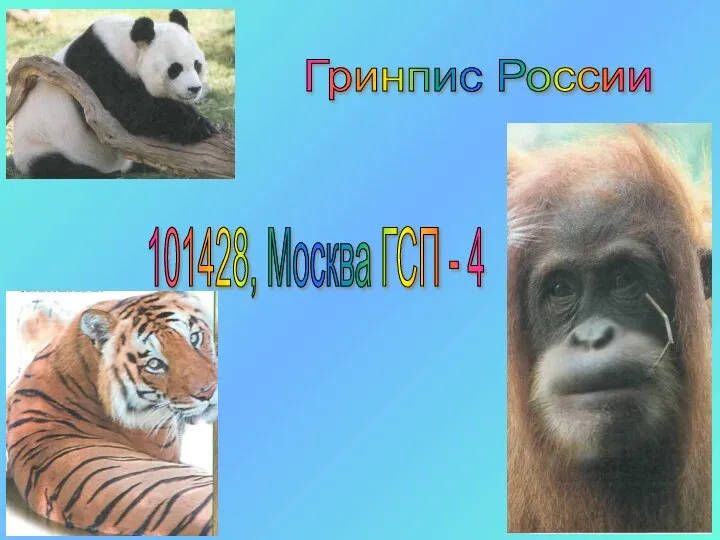 Гринпис России 101428, Москва ГСП - 4