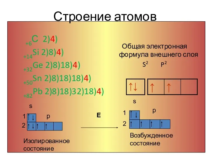 Строение атомов Общая электронная формула внешнего слоя S2 P2 +6С 2)4)