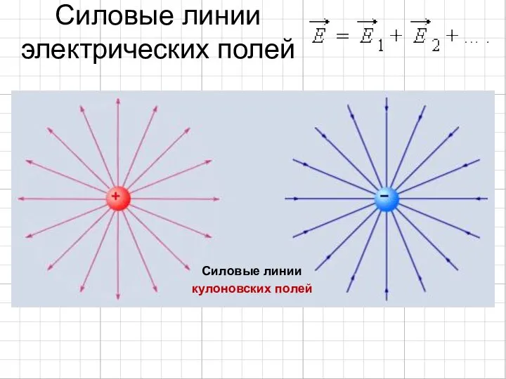 Силовые линии электрических полей Силовые линии кулоновских полей