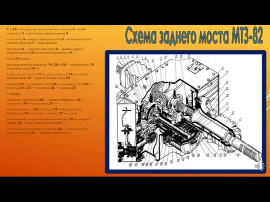 Схема заднего моста МТЗ-82 1 и 12 – ведущие шестерни конечных