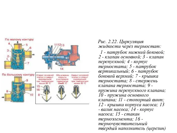 Рис. 2.22. Циркуляция жидкости через термостат: 1 - патрубок нижний боковой;