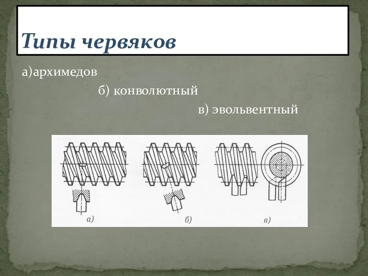 Типы червяков а)архимедов б) конволютный в) эвольвентный