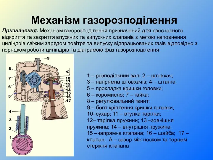 Механізм газорозподілення 1 – розподільний вал; 2 – штовхач; 3 –