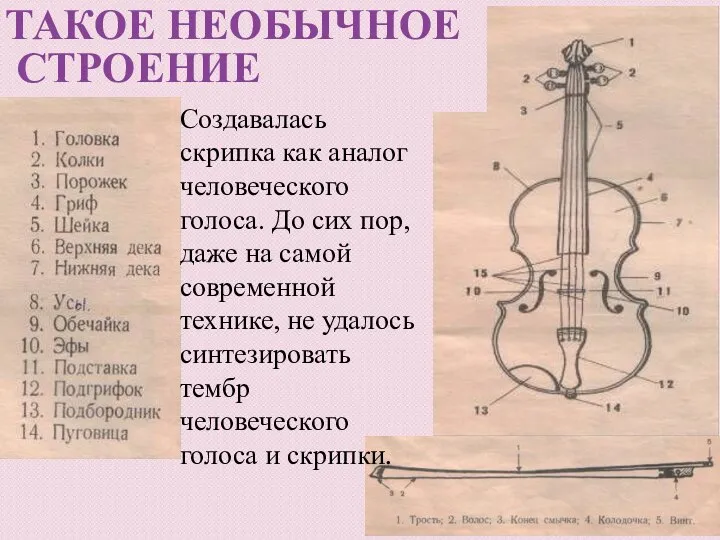 ТАКОЕ НЕОБЫЧНОЕ СТРОЕНИЕ Создавалась скрипка как аналог человеческого голоса. До сих