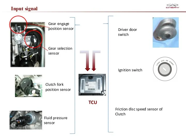 Input signal TCU Gear engage position sensor Gear selection sensor Clutch