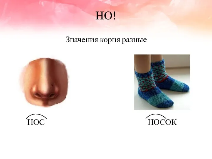 НО! Значения корня разные НОС НОСОК