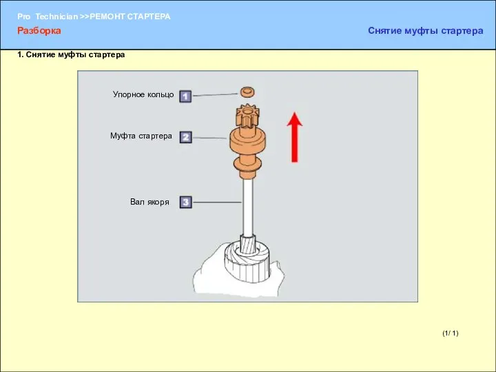 (1/ 1) Упорное кольцо Муфта стартера Вал якоря Разборка Снятие муфты стартера 1. Снятие муфты стартера