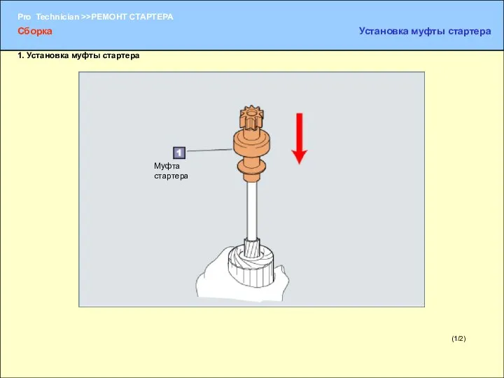 (1/2) Муфта стартера Сборка Установка муфты стартера 1. Установка муфты стартера