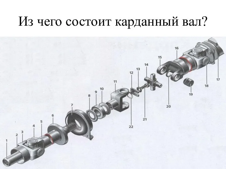 Из чего состоит карданный вал?