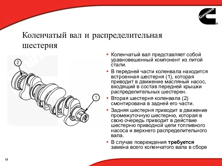 Коленчатый вал и распределительная шестерня Коленчатый вал представляет собой уравновешенный компонент