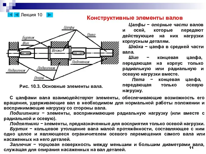 Конструктивные элементы валов Рис. 10.3. Основные элементы вала. С цапфами вала