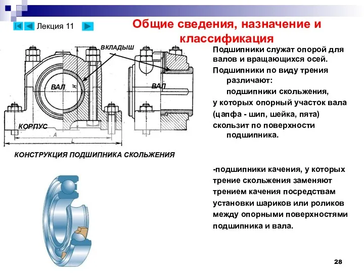 Общие сведения, назначение и классификация Подшипники служат опорой для валов и