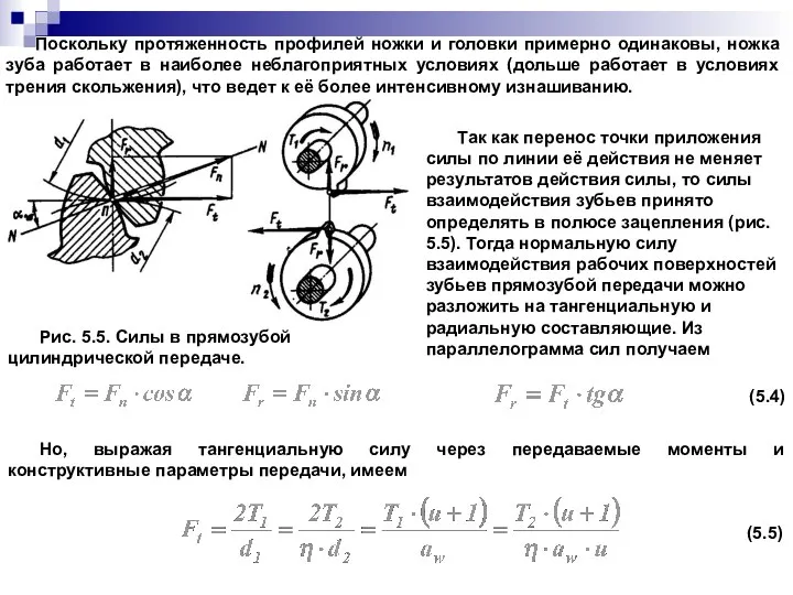 Поскольку протяженность профилей ножки и головки примерно одинаковы, ножка зуба работает