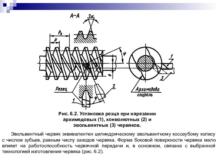 Рис. 6.2. Установка резца при нарезании архимедовых (1), конволютных (2) и