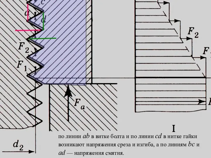 по линии аb в витке болта и по линии cd в