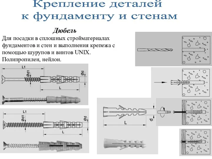 Крепление деталей к фундаменту и стенам Дюбель Для посадки в сплошных