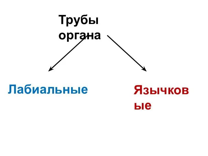 Трубы органа Лабиальные Язычковые