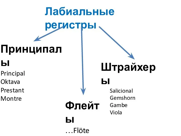 Лабиальные регистры Флейты …Flöte Принципалы Principal Oktava Prestant Montre Штрайхеры Salicional Gemshorn Gambe Viola