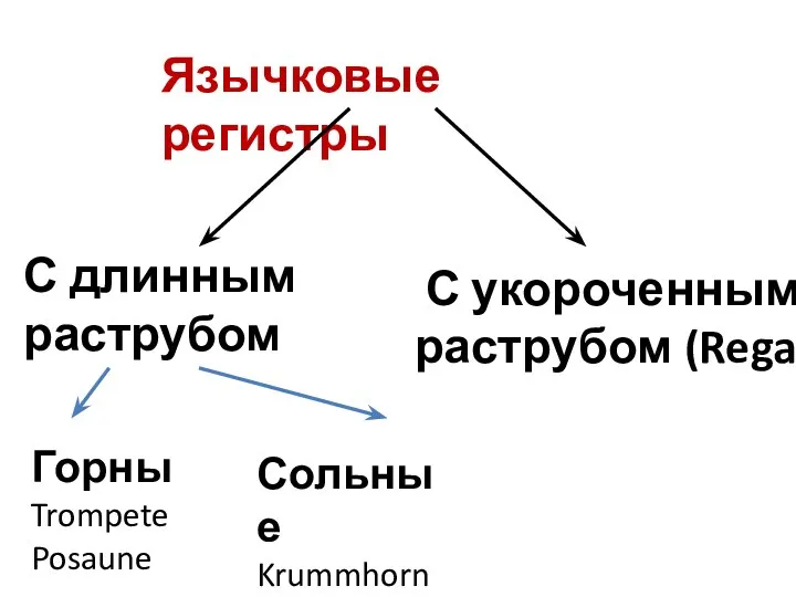 Язычковые регистры С длинным раструбом С укороченным раструбом (Regal) Горны Trompete Posaune Сольные Krummhorn Dulzian