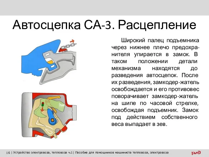 Автосцепка СА-3. Расцепление Широкий палец подъемника через нижнее плечо предохра-нителя упирается