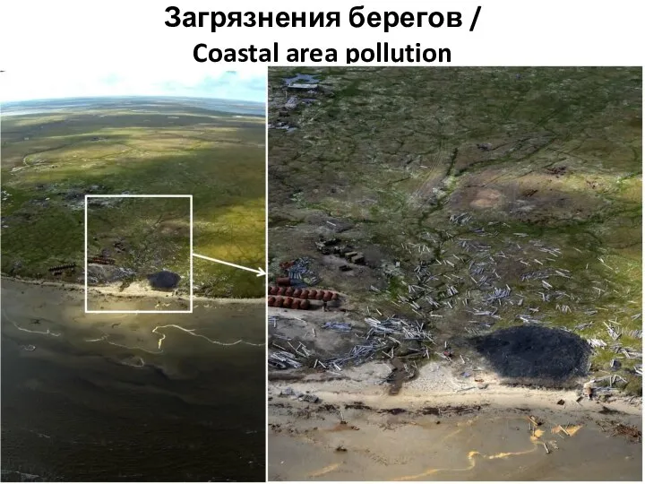 Загрязнения берегов / Coastal area pollution