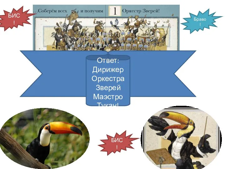 Ответ: Дирижер Оркестра Зверей Маэстро Тукан! БИС! Браво! БИС!