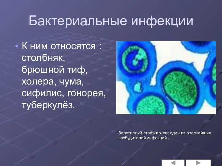 Бактериальные инфекции К ним относятся : столбняк, брюшной тиф, холера, чума,