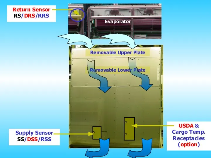USDA & Cargo Temp. Receptacles (option) Supply Sensor SS/DSS/RSS