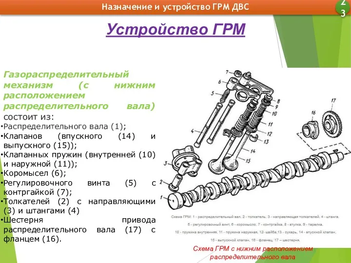 Назначение и устройство ГРМ ДВС 23 Устройство ГРМ Газораспределительный механизм (с