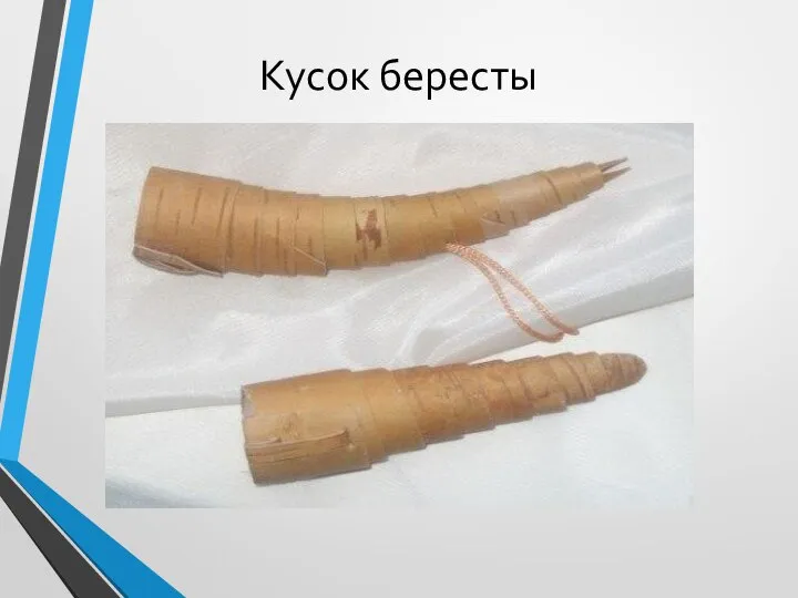 Кусок бересты