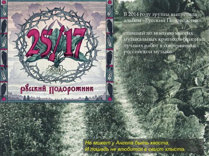 В 2014 году группа выпустила альбом «Русский Подорожник», ставший по мнению