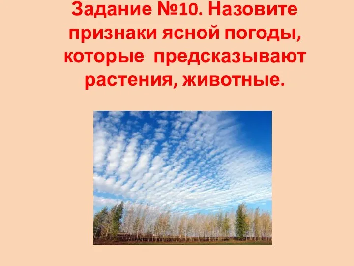 Задание №10. Назовите признаки ясной погоды, которые предсказывают растения, животные.