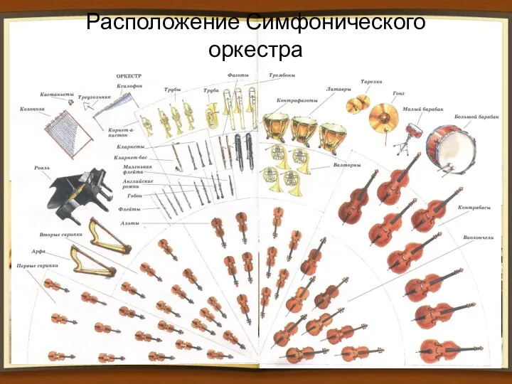 Расположение Симфонического оркестра