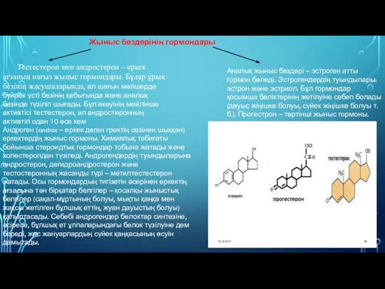 Тестестерон мен андростерон – еркек ағзаның нағыз жыныс гормондары. Бұлар ұрық
