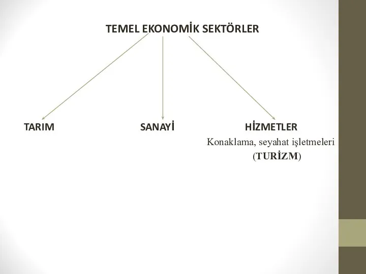 TEMEL EKONOMİK SEKTÖRLER TARIM SANAYİ HİZMETLER Konaklama, seyahat işletmeleri (TURİZM)