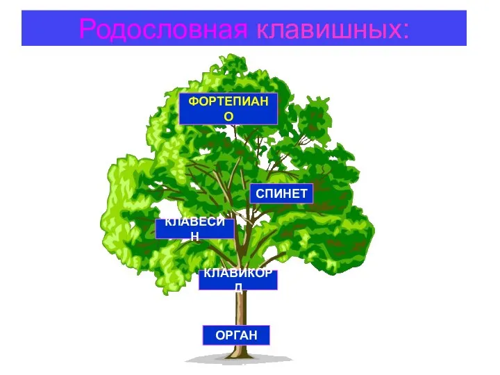 Родословная клавишных: ОРГАН КЛАВИКОРД КЛАВЕСИН СПИНЕТ ФОРТЕПИАНО