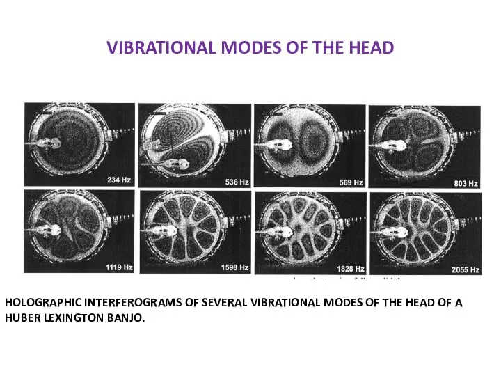 VIBRATIONAL MODES OF THE HEAD HOLOGRAPHIC INTERFEROGRAMS OF SEVERAL VIBRATIONAL MODES