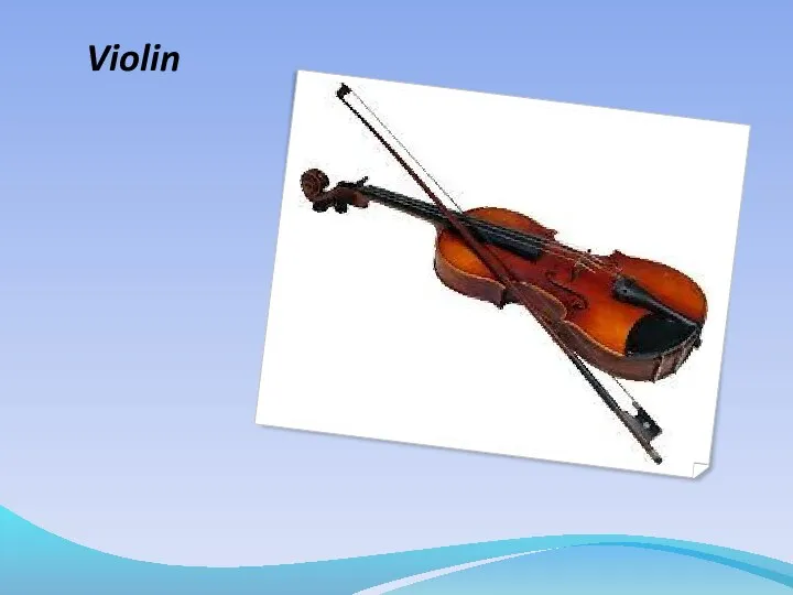 Violin