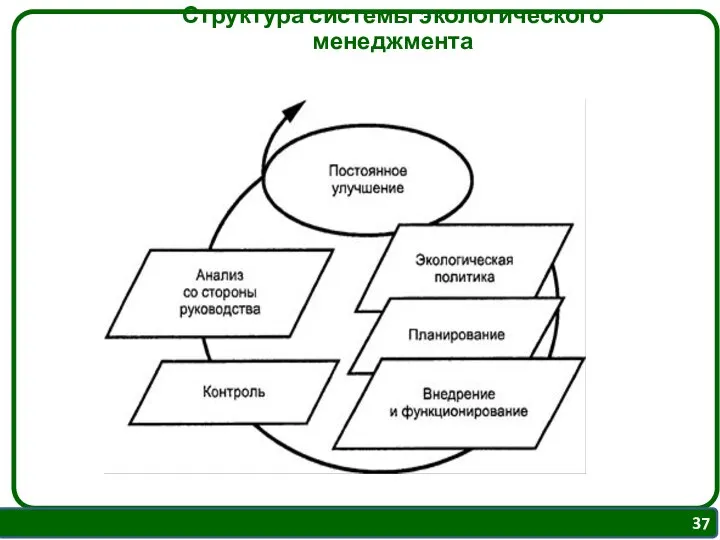 Структура системы экологического менеджмента