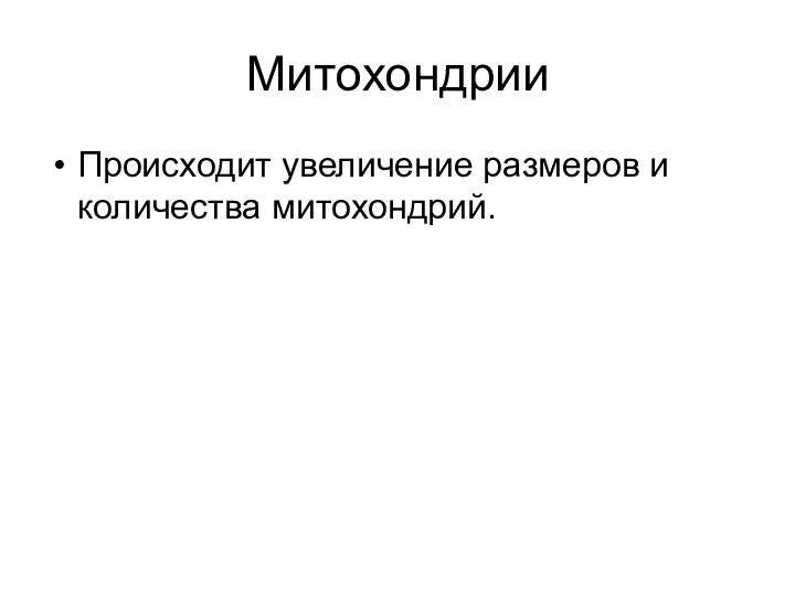 Митохондрии Происходит увеличение размеров и количества митохондрий.