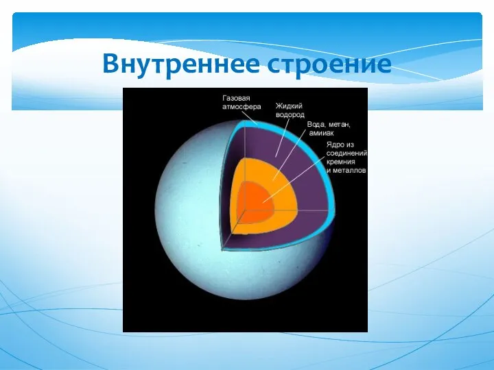 Внутреннее строение