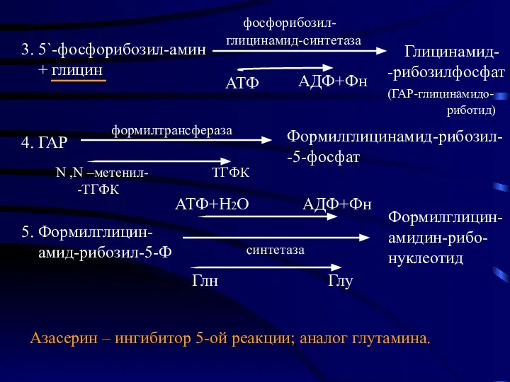 3. 5`-фосфорибозил-амин + глицин фосфорибозил- глицинамид-синтетаза Глицинамид- -рибозилфосфат (ГАР-глицинамидо- риботид) АТФ