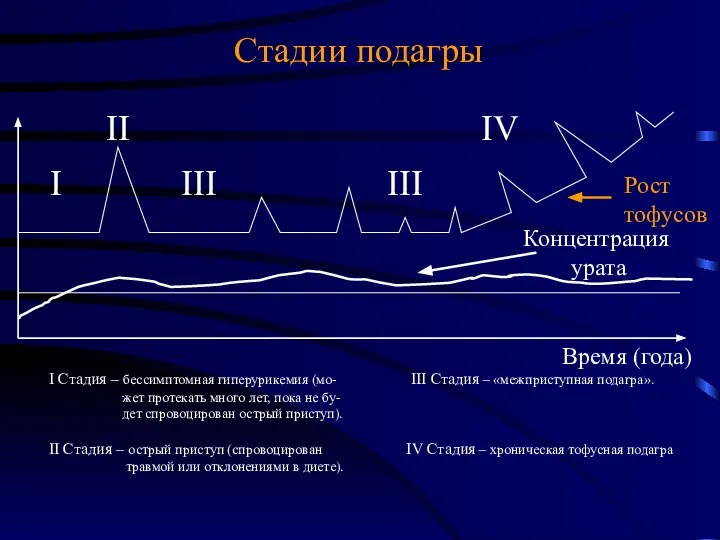 Стадии подагры I Стадия – бессимптомная гиперурикемия (мо- III Стадия –