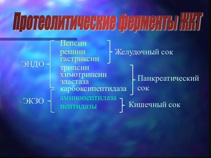 Протеолитические ферменты ЖКТ Пепсин реннин гастриксин ЭНДО ЭКЗО Желудочный сок Панкреатический